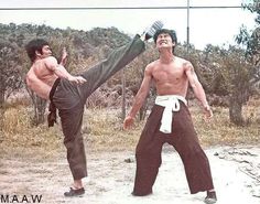 bruce lee roundhouse
