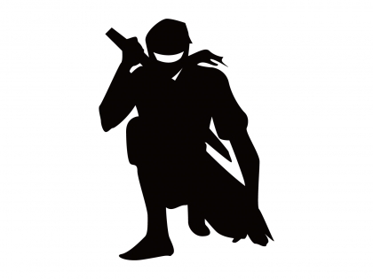 ninja2