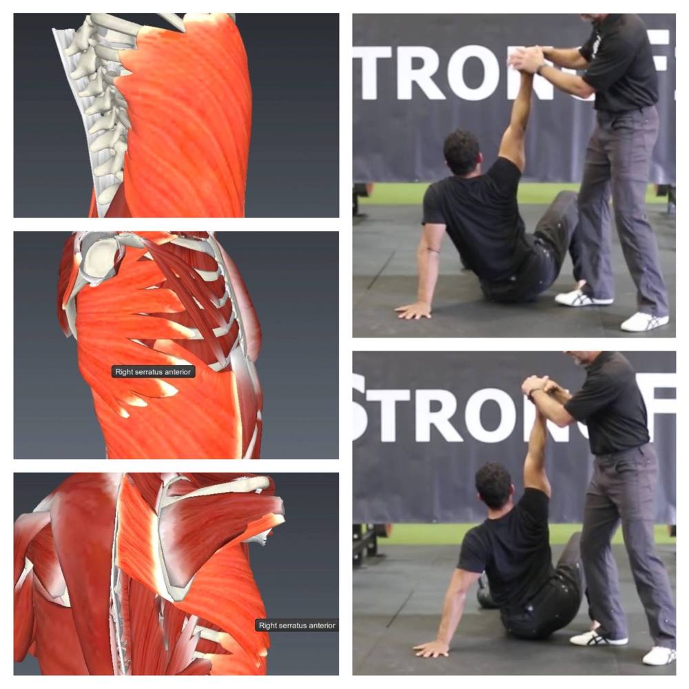 12291078_1036097459788252_7091454184609391458_o