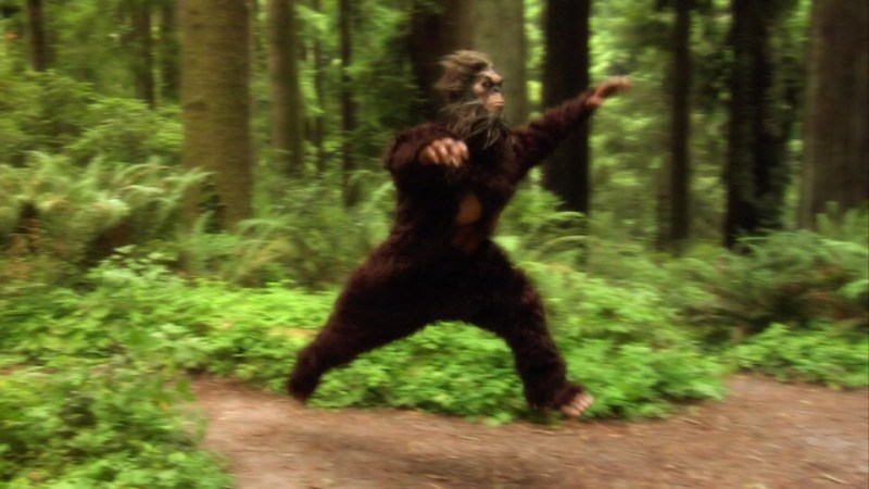 Sasquatch & The Squat&nbsp;Myth
