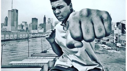 STPro Belts – Test Your&nbsp;Skills